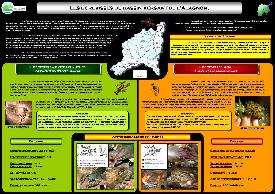 image utilisateur