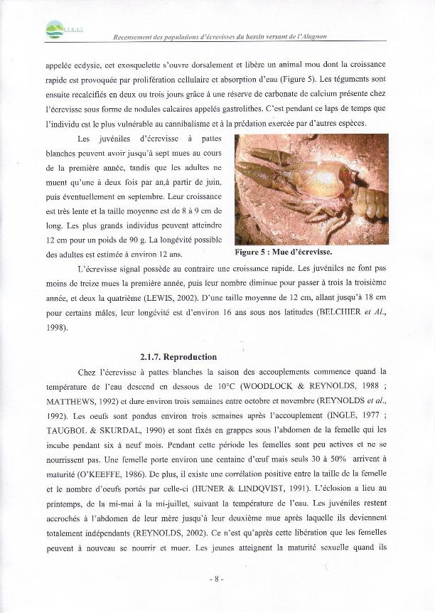 image utilisateur