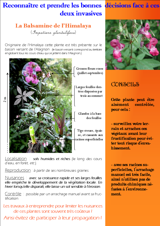image utilisateur