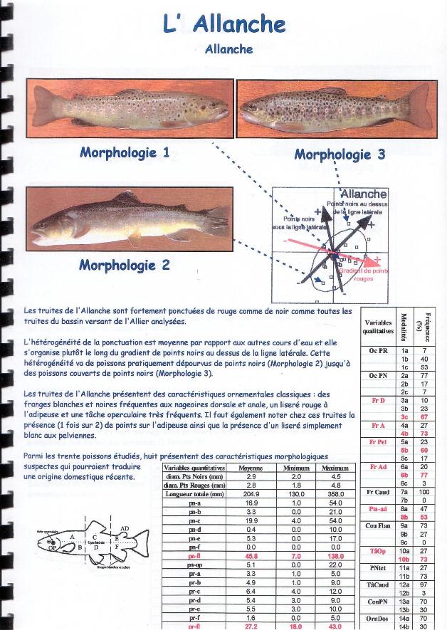 image utilisateur