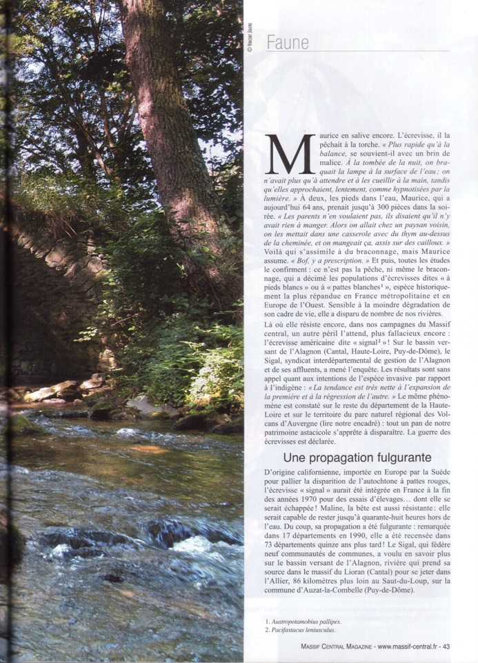 image utilisateur