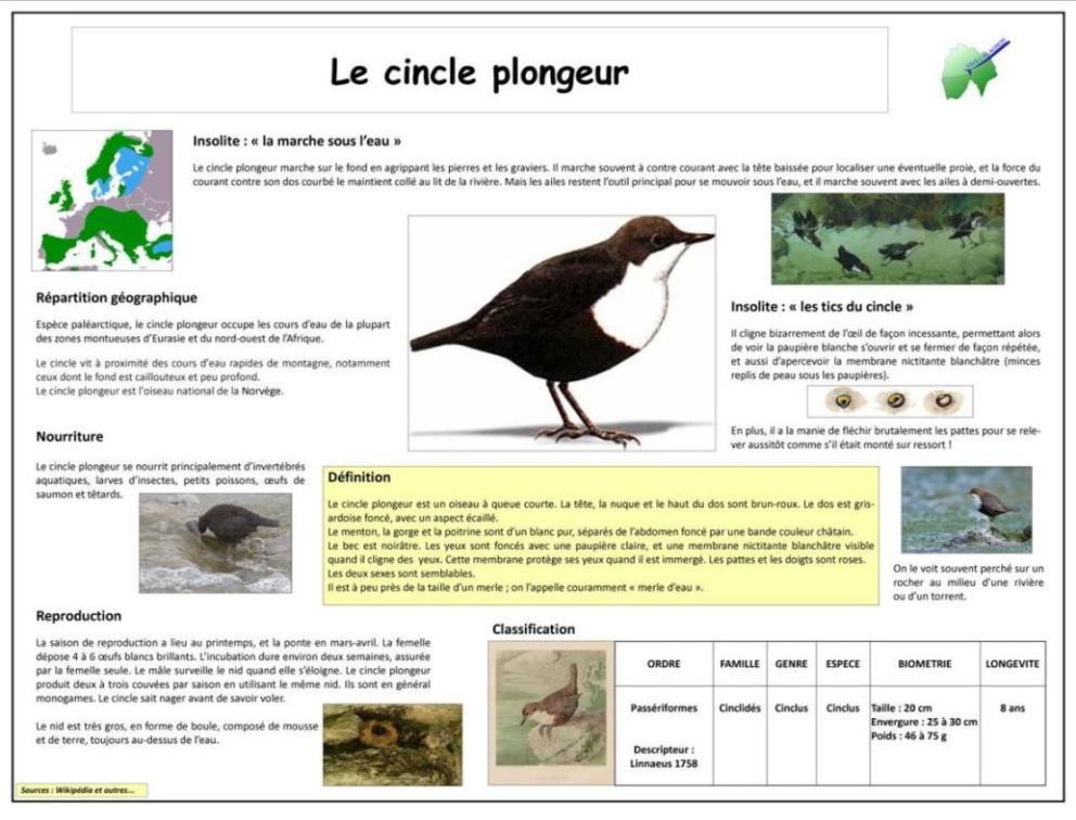 image utilisateur