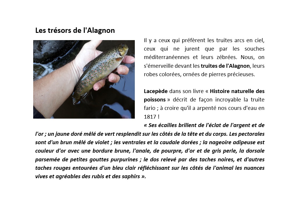 image utilisateur