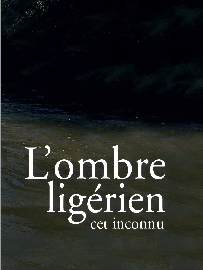 image utilisateur