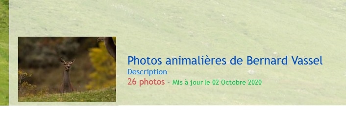image utilisateur