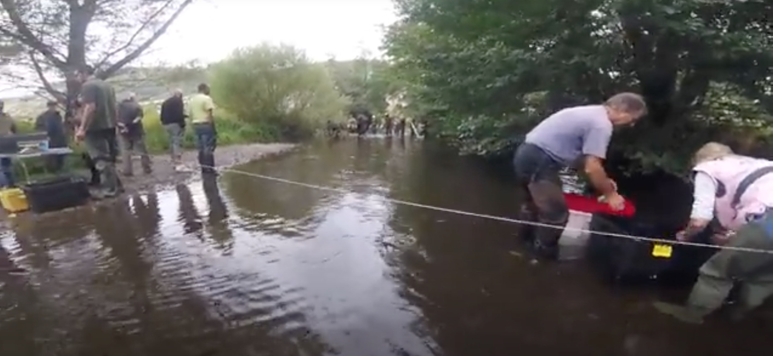 Campagne d'échantillonnage de l'ombre commun sur le bassin de l'Alagnon