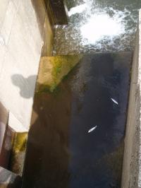 image utilisateur