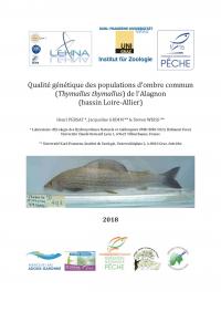 Qualité génétique des ombres communs de l'Alagnon