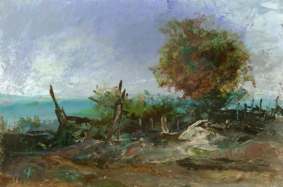 19 - Plateau du Bru, près de Massiac. Arbres foudroyés