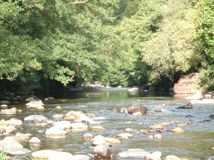 Gorges de l'Alagnon près de Ferrières Saint Mary