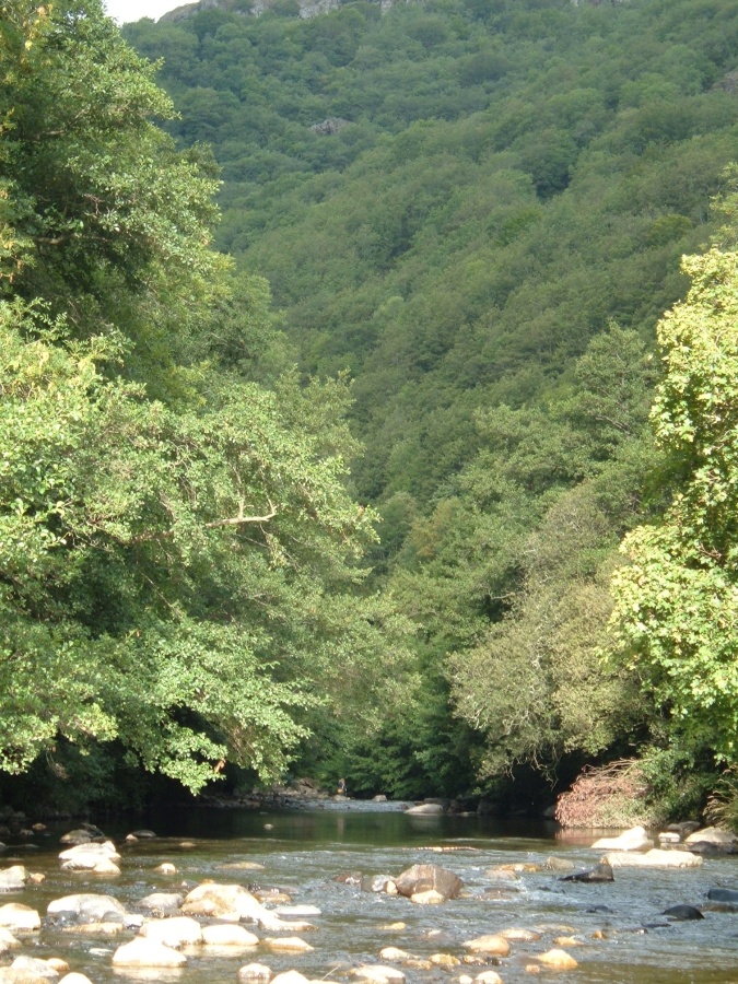 Gorges de l'Alagnon près de Ferrières Saint Mary