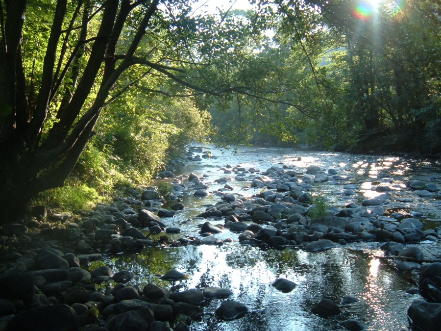 Matin calme près d'Aurouze (Alagnon)