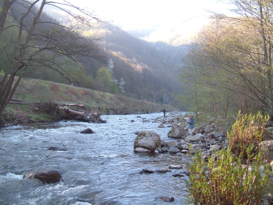 Gorges de l'Alagnon (aval de Ferrières Saint Mary)