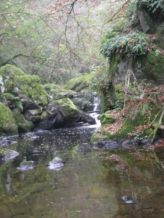 Les gorges de l'Arcueil (les marmites de Géant)