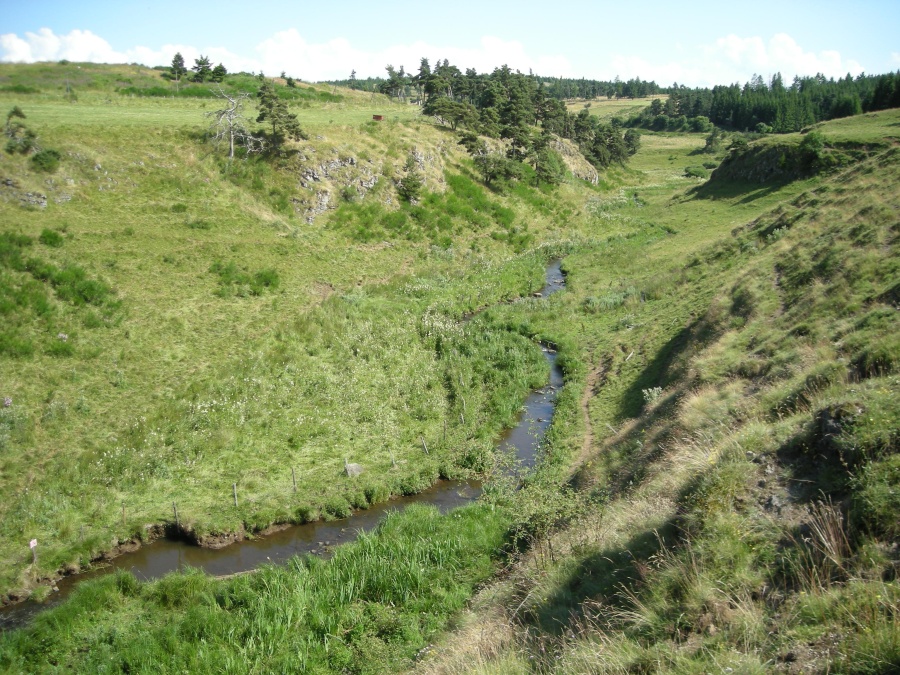 Aval de la cascade des Veyrines (Allanche)