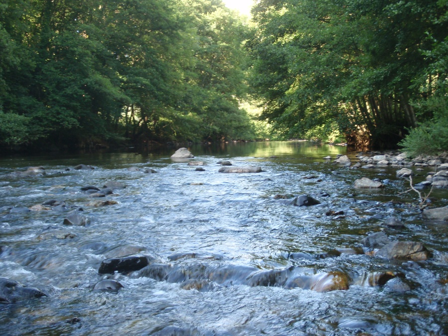 Amont de Peyrenère (Alagnon)