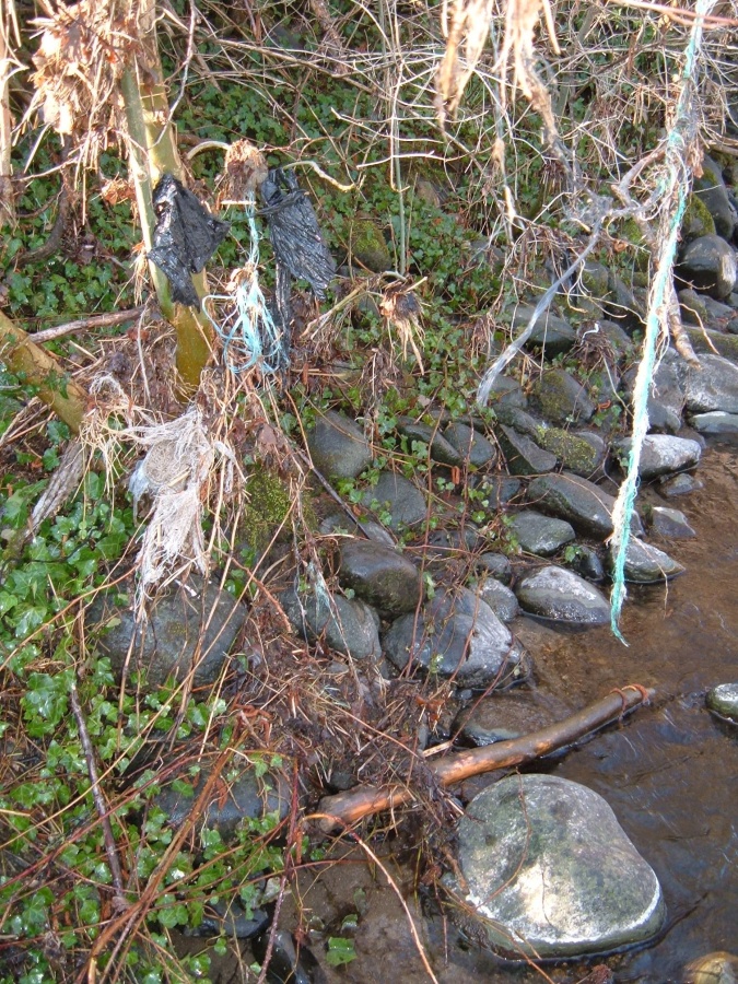 Plastiques prisonniers des branchages