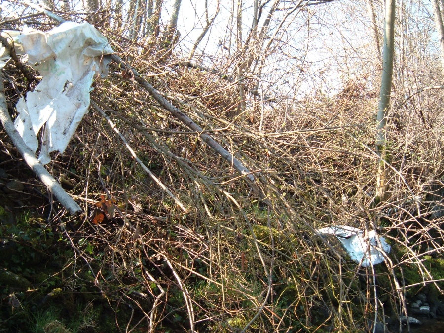 Plastiques prisonniers des branchages