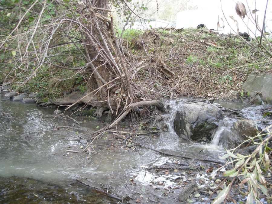 Rejets d'une station d'épuration dans l'Alagnon (remarquez la différence de qualité de l'eau entre le rejet trouble de la station et l'eau limpide de la rivière)