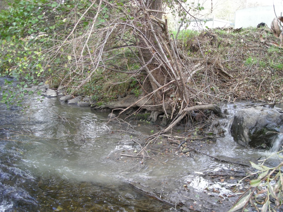 Rejets d'une station d'épuration dans l'Alagnon (remarquez la différence de qualité de l'eau entre le rejet trouble de la station et l'eau limpide de la rivière)