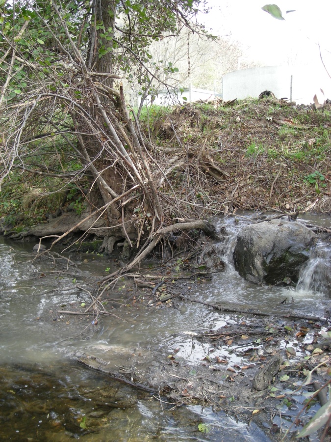 Rejets d'une station d'épuration dans l'Alagnon (remarquez la différence de qualité de l'eau entre le rejet trouble de la station et l'eau limpide de la rivière)