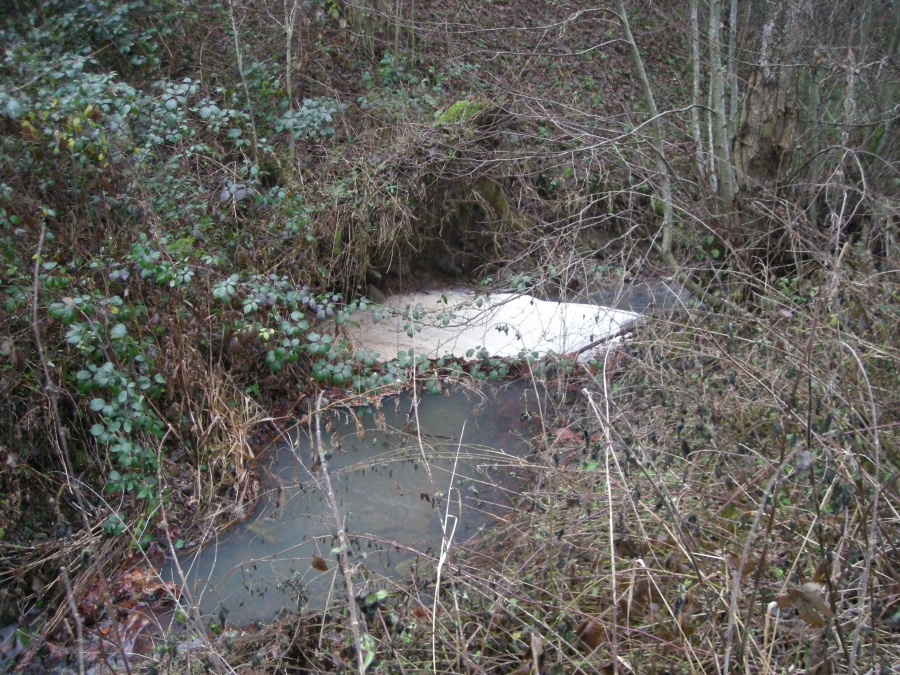 Amas de mousse sur le ruisseau de l'église 