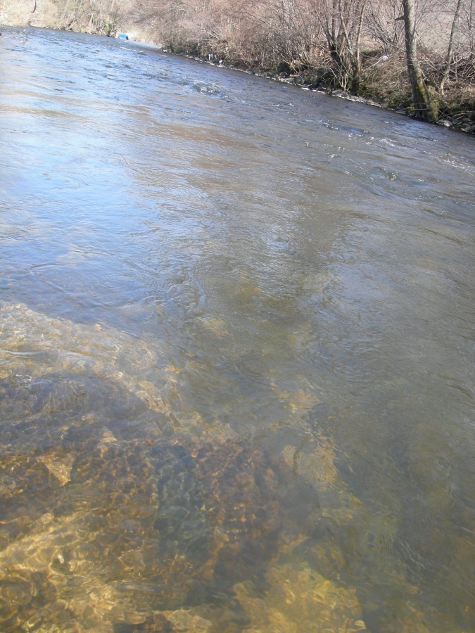 Eutrophisation sous forme de dépot visqueux venant colmater le fond des cours d'eau