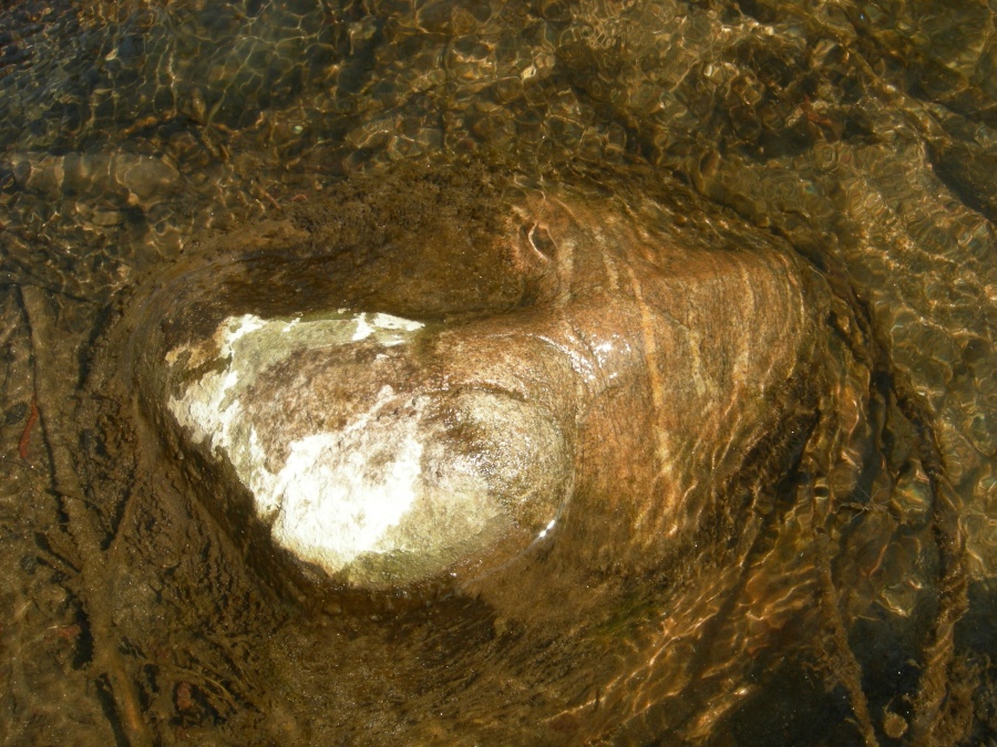 Eutrophisation recouvrant les pierres (remarquez la coloration naturelle de la pierre après nettoyage de la partie centrale)