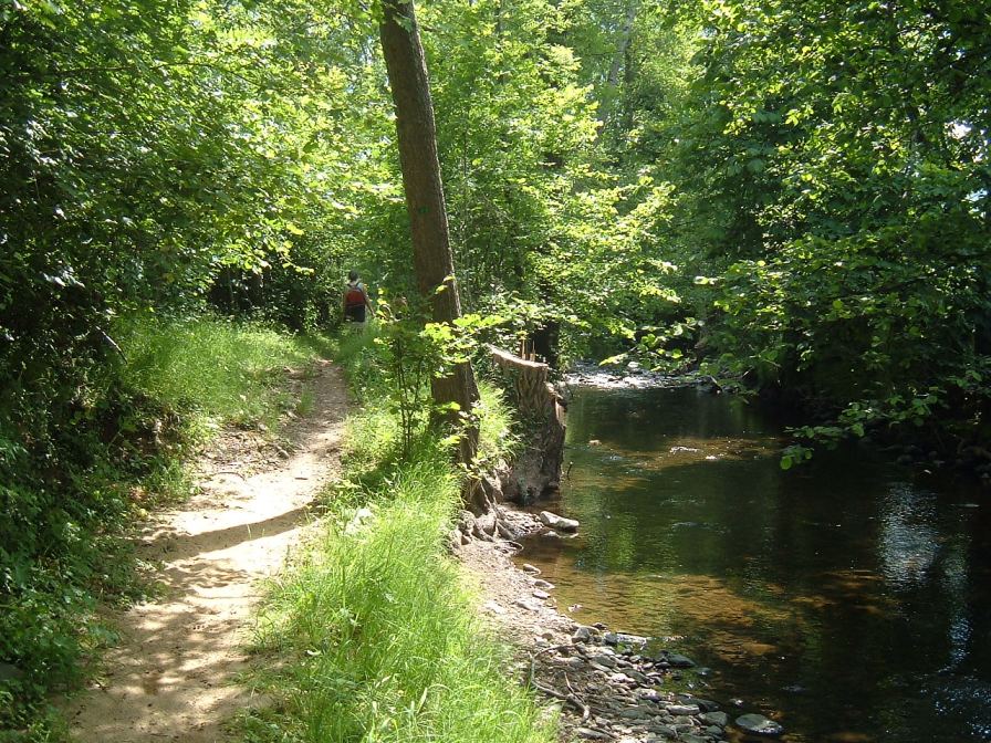 Sentier longeant l'Arcueil en amont de sa confluence avec l'Alagnon