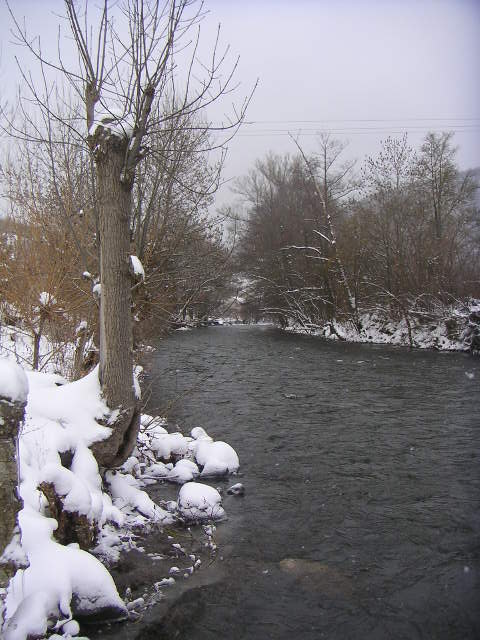 Alagnon sous la neige (Moulin de Victor)