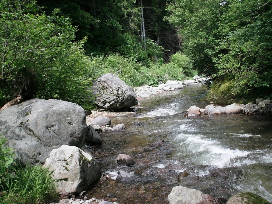 Gorges de l'Alagnon en dessous du Lioran