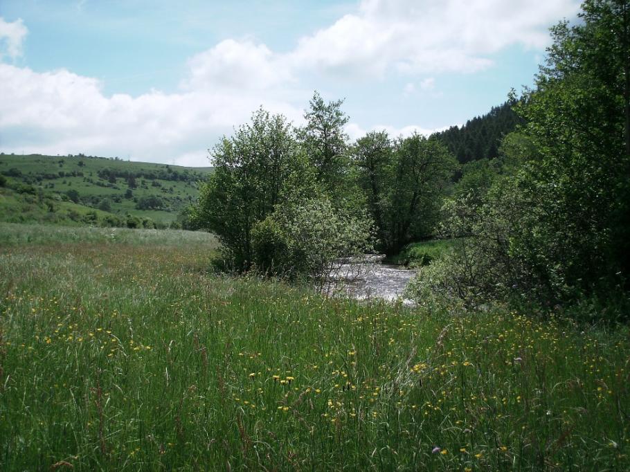L'Allanche en aval de Maillargues