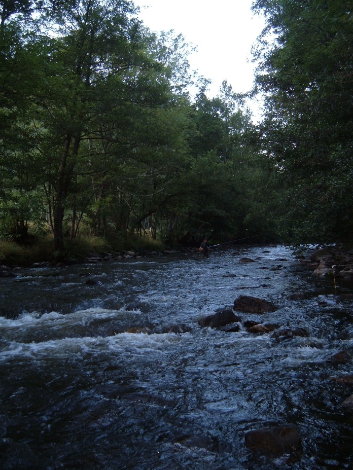 Pêche de la truite en aval de Vauclair (Alagnon)