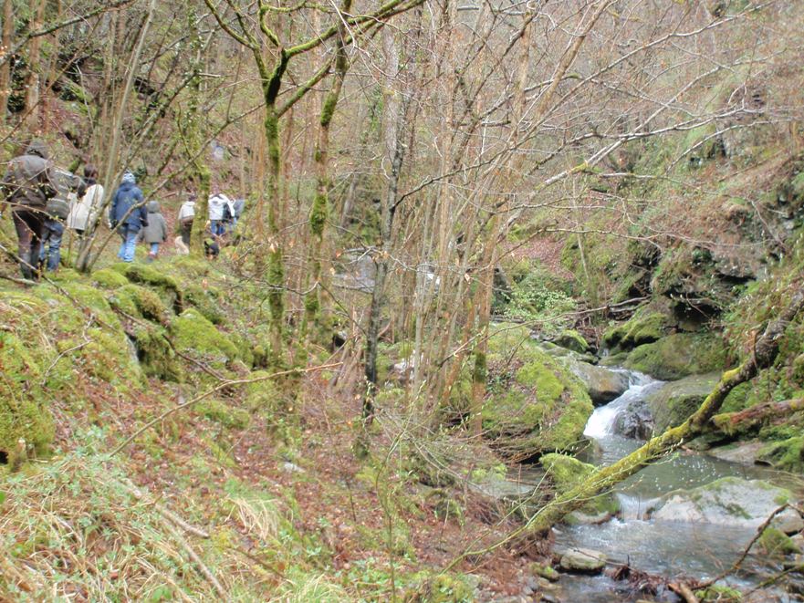 Ruisseau des Fages