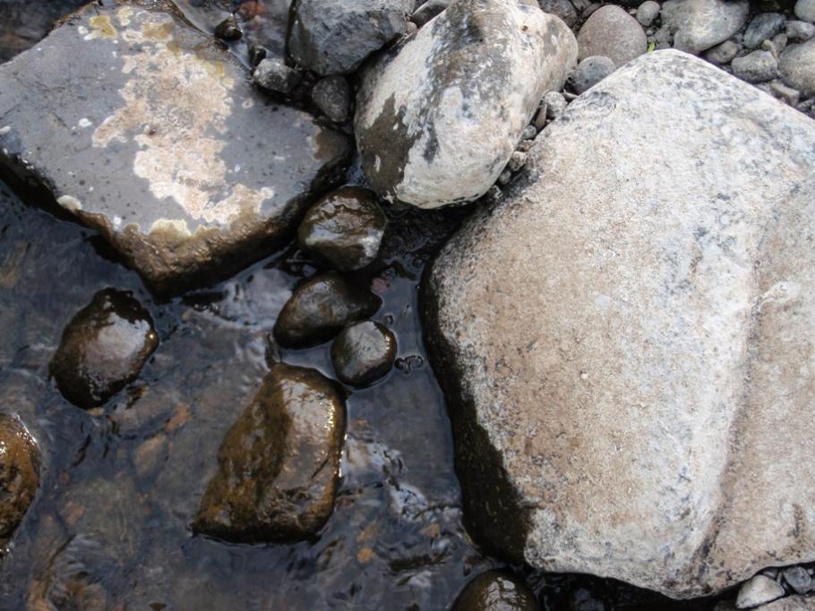 Dépots sur les cailloux