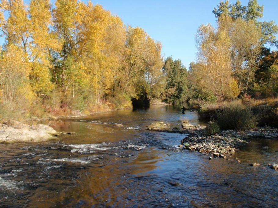 Pêche en 2ème catégorie en aval de Lempdes sur Allagnon
