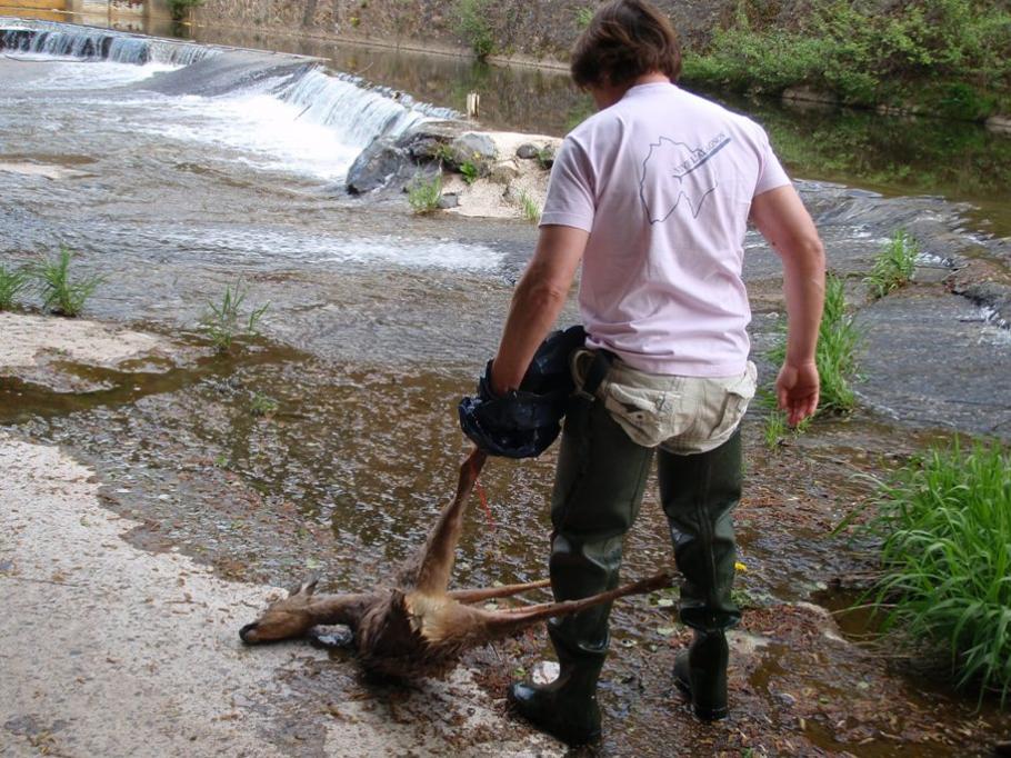 Pêche au gros !!! ???
