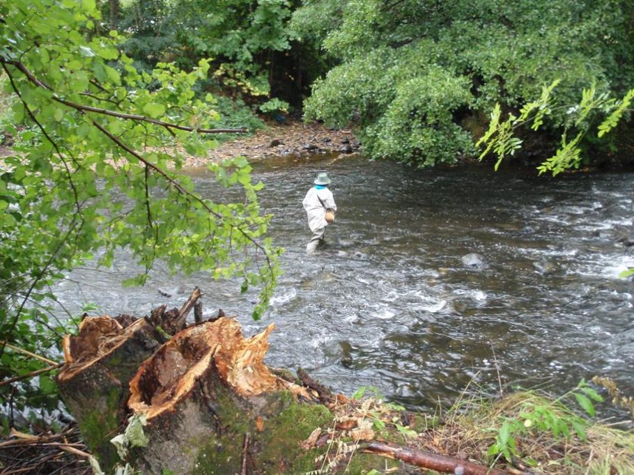 Un pêcheur pure souche ! Confluence Arcueil - Alagnon