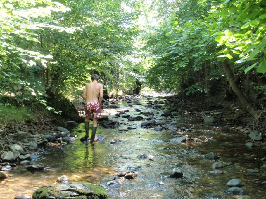 A la recherche de vers d'eau dans l'Arcueil