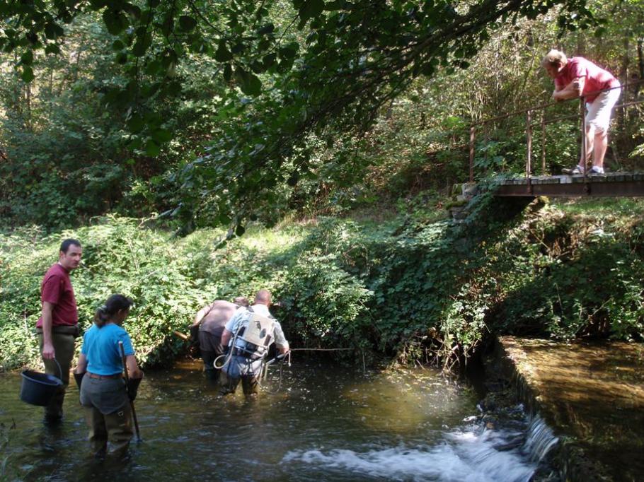 Pêche électrique dans l'Alagnonette