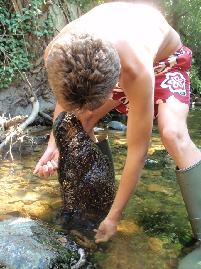 A la recherche de vers d'eau dans l'Arcueil 2